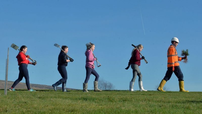 Jeremy Jacobs Helps With The Tree Planting At Mountain Ash Golf Club.