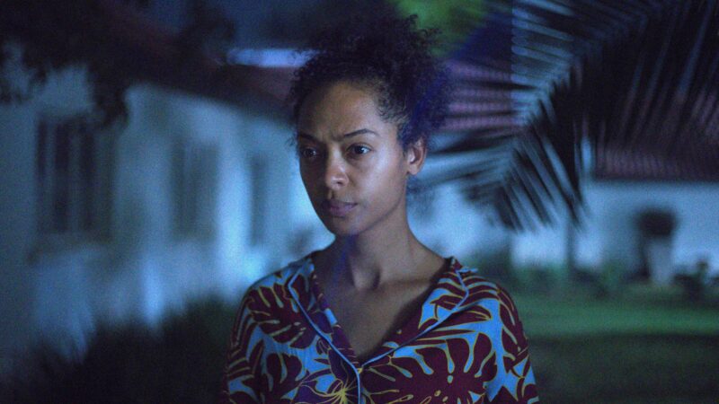 ON BECOMING A GUINEA FOWL 3 Min 11zon