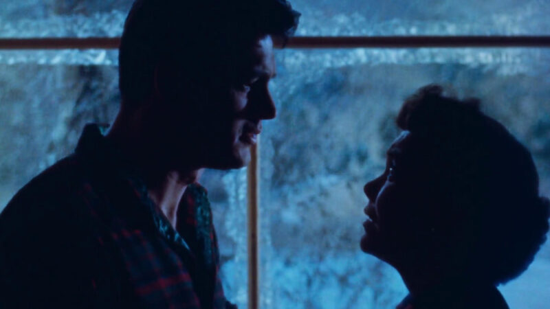 Image credit All That Heaven Allows. Dir - Douglas Sirk. Courtesy of Park Circus.